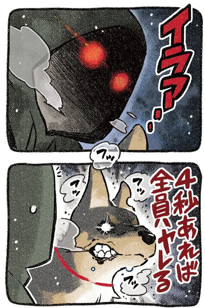 『ドベとノラ 4 犬と家族に』より