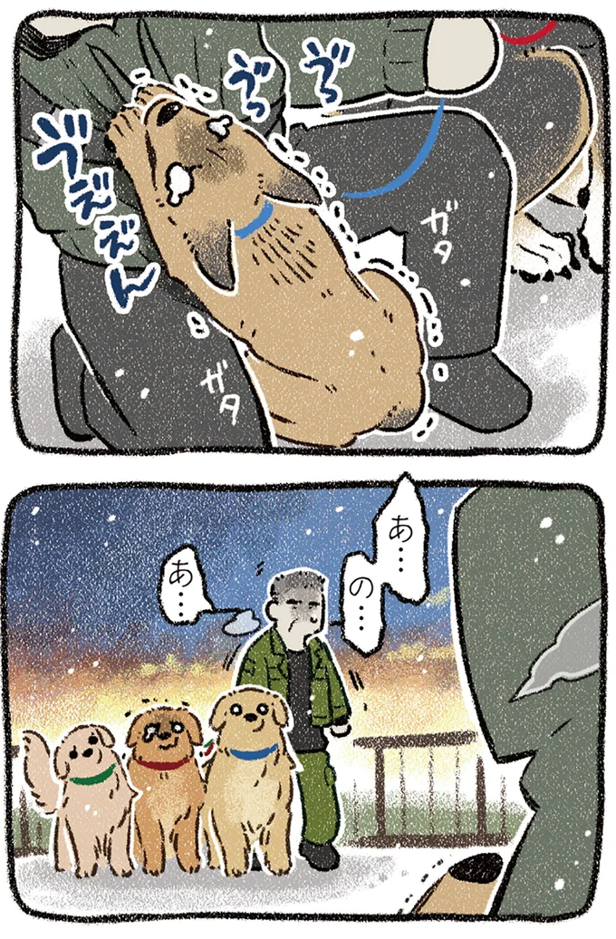 『ドベとノラ 4 犬と家族に』より