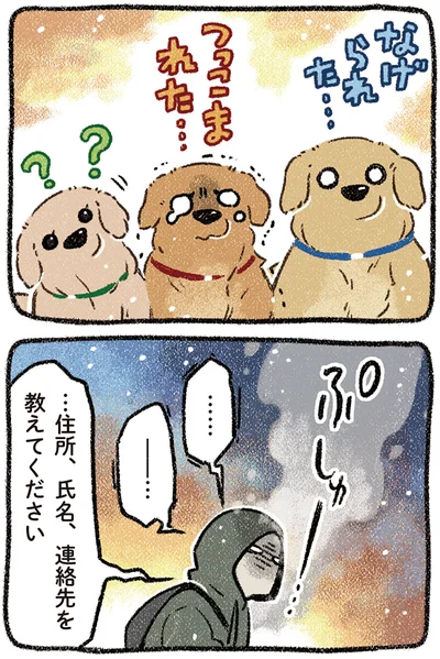 『ドベとノラ 4 犬と家族に』より