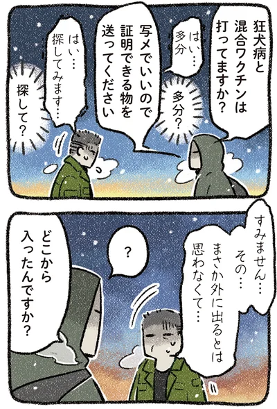 『ドベとノラ 4 犬と家族に』より