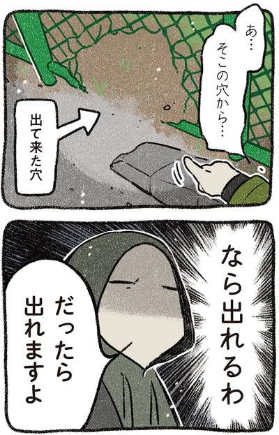 『ドベとノラ 4 犬と家族に』より