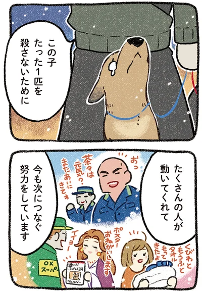 『ドベとノラ 4 犬と家族に』より