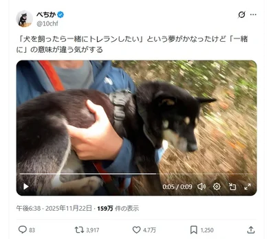「犬を飼ったら一緒にトレランしたい」という夢がかなったけど「一緒に」の意味が違う気がする▶犬を飼ったら一緒にトレランしたかった飼い主さん（⇒次へ）