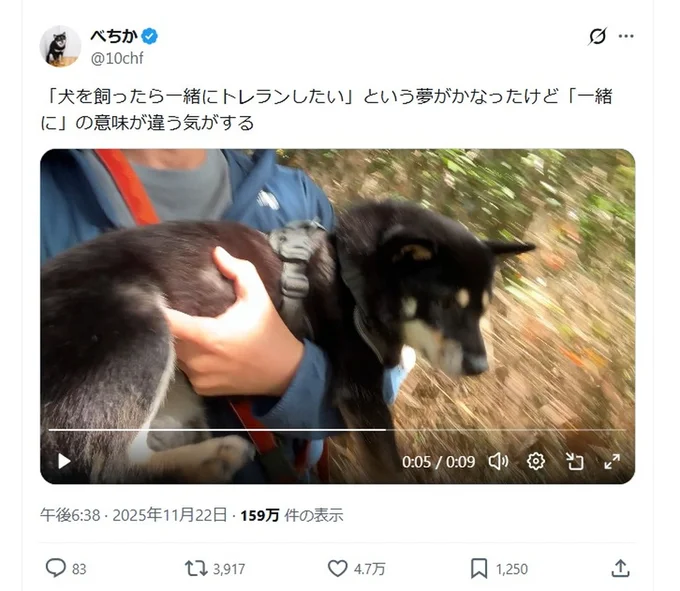 「犬を飼ったら一緒にトレランしたい」という夢がかなったけど「一緒に」の意味が違う気がする▶犬を飼ったら一緒にトレランしたかった飼い主さん(⇒次へ)