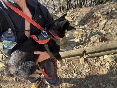山での抱っこスタイル▶なんでこんなことに…！？（⇒次へ）