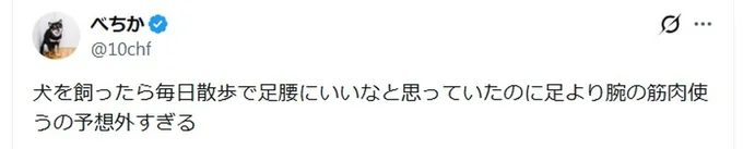 予想外▶暑い日も散歩は欠かせません（⇒次へ）