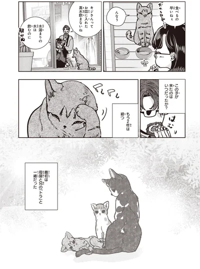 水溜まりの水は飲むのに