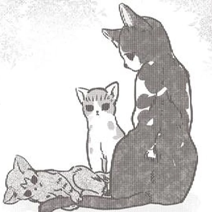 野良の猫親子との出会い