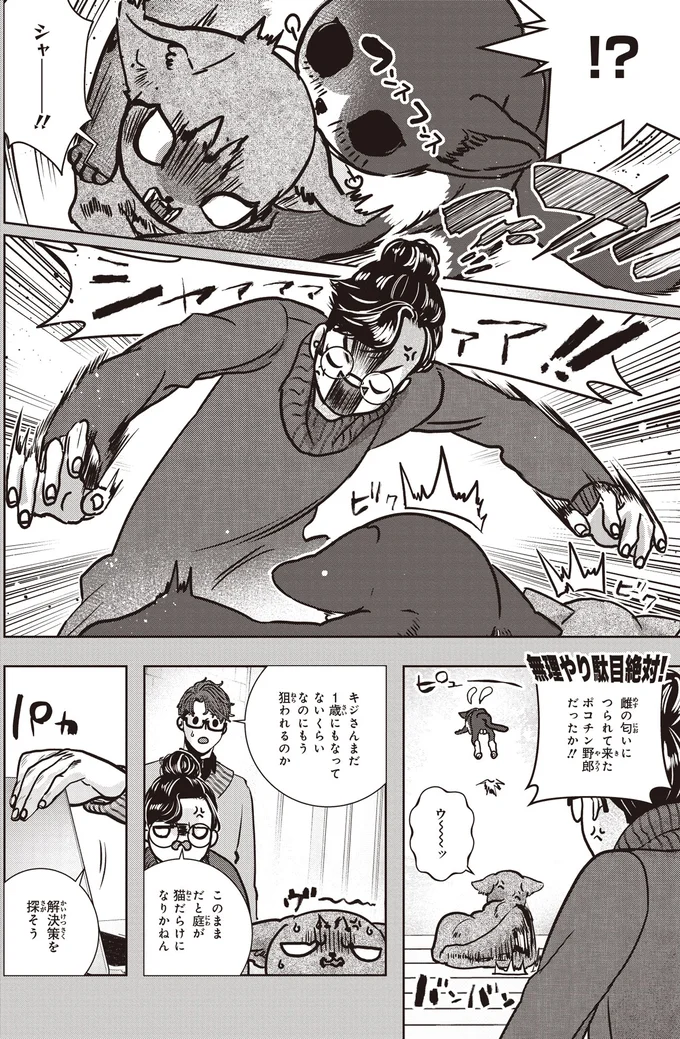 シャー!!