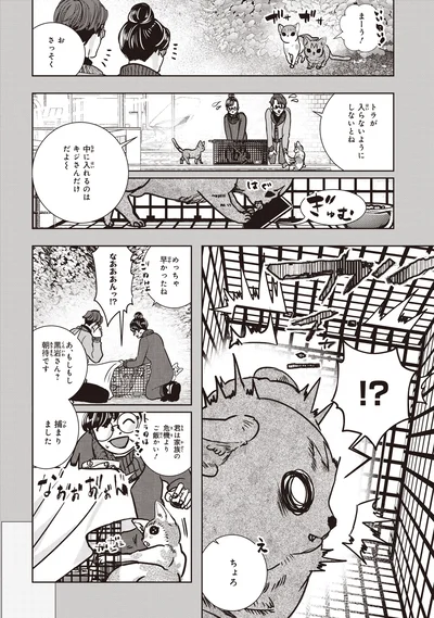 お　さっそく