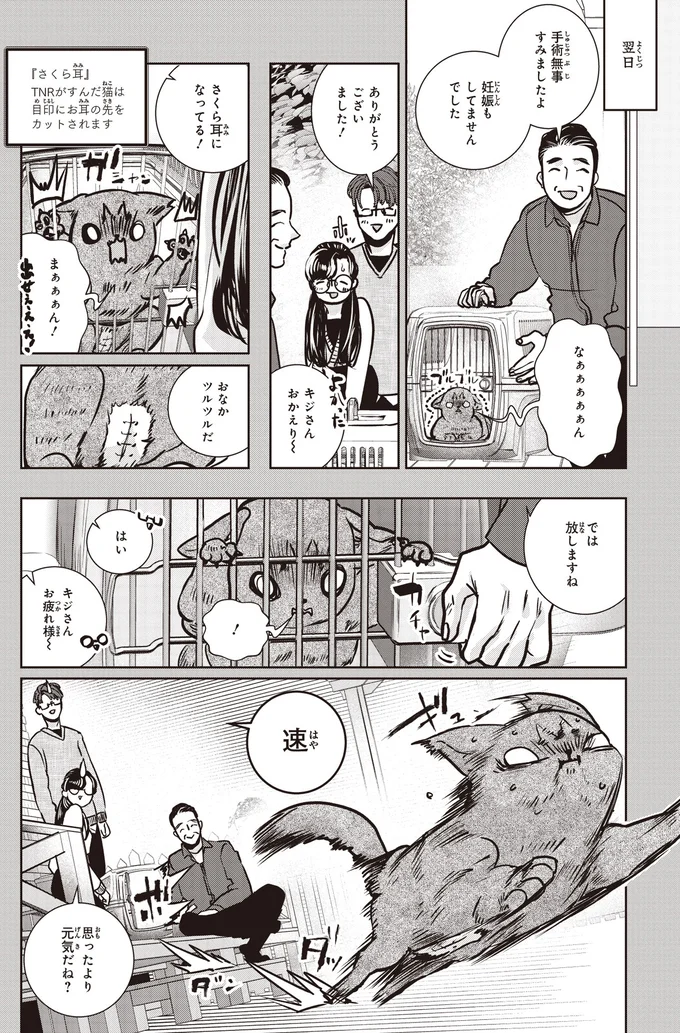 さくら耳になってる!