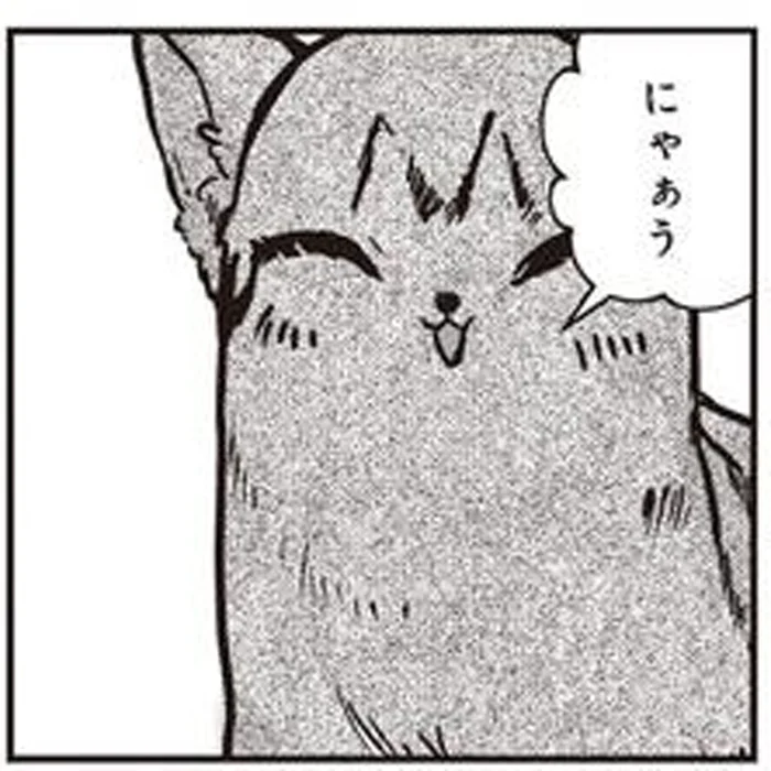 自分はエサを食べず、ただ見守るだけ...。傷だらけの子猫を連れてきてくれる地域猫の優しさ／スローステップ朔太郎 上（6）