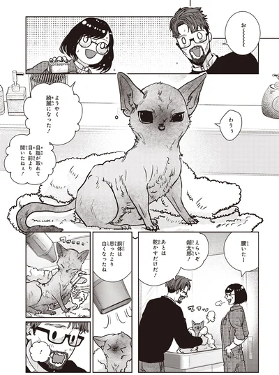 思ったより白くなったね