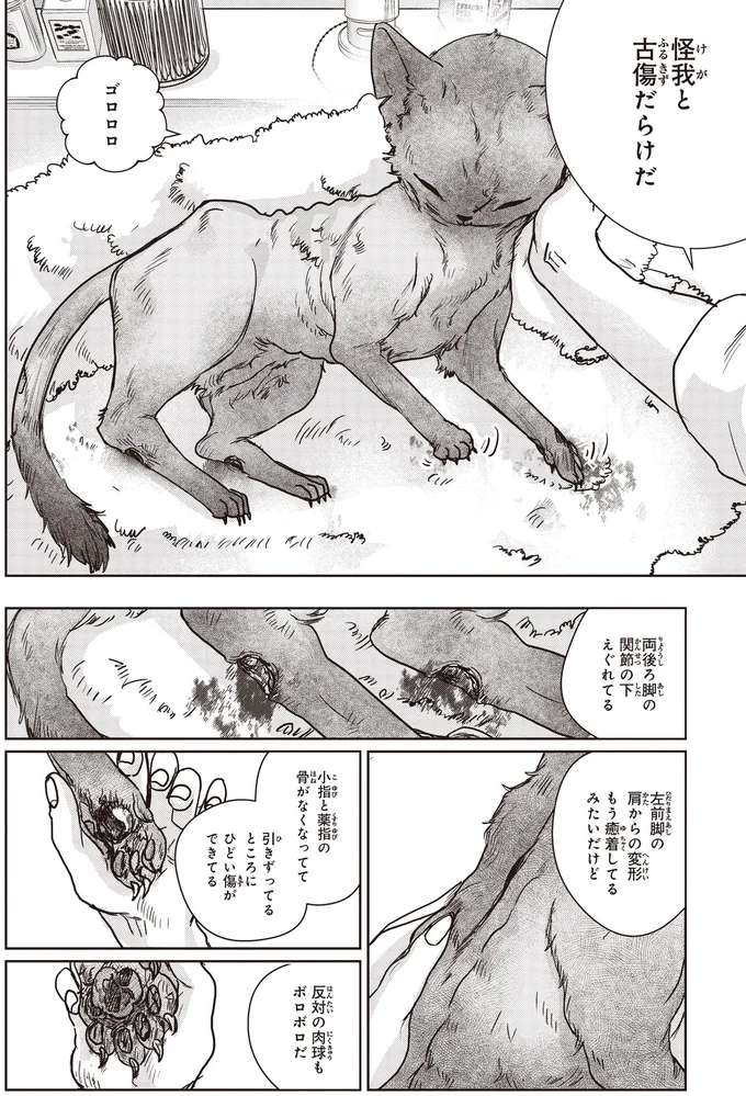 脚の関節の下えぐれてる