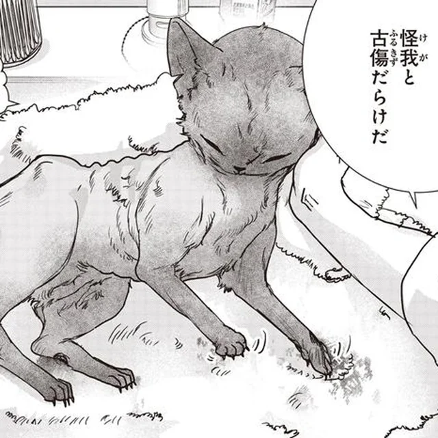 「わああああ！」野良の子猫の初めてのお風呂は大騒ぎ！ 露わになったケガと古傷に絶句／スローステップ朔太郎 上（7）