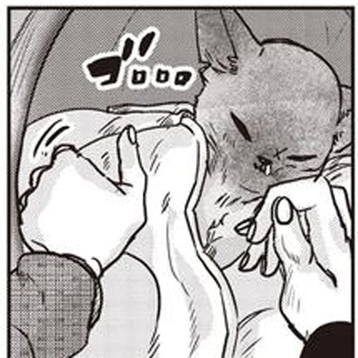 温かい寝床で安心して眠る野良の子猫。「ここまでよく生きてきた」その姿に、思わず胸を打たれる／スローステップ朔太郎 上（8）