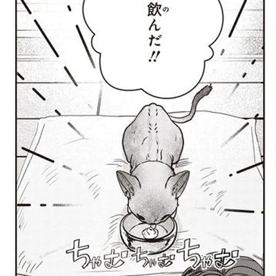 子猫への投薬。直接口に入れるのも、エサに混ぜるのもダメなら…頼ったのはアレ！／スローステップ朔太郎 上（10）