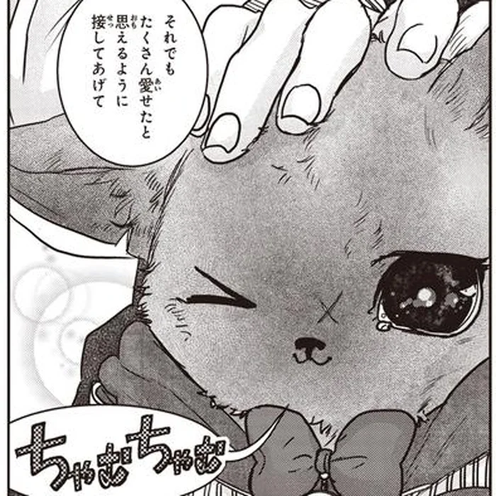 保護猫を迎え入れた夫婦の誓い。「クチャくて賑やかな十数年にしよう」その言葉の裏にある決意とは／スローステップ朔太郎 上（12）