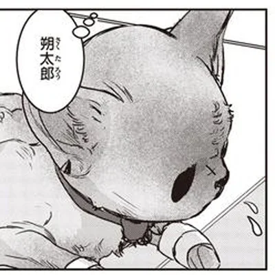 舌に裂け目がある!? 想像を絶する痛みを乗り越えてきた野良の子猫の過去を知り、胸が締めつけられる／スローステップ朔太郎 上（13）