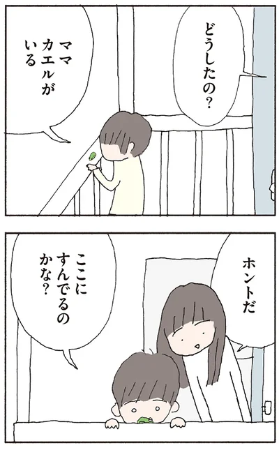 カエルがいる