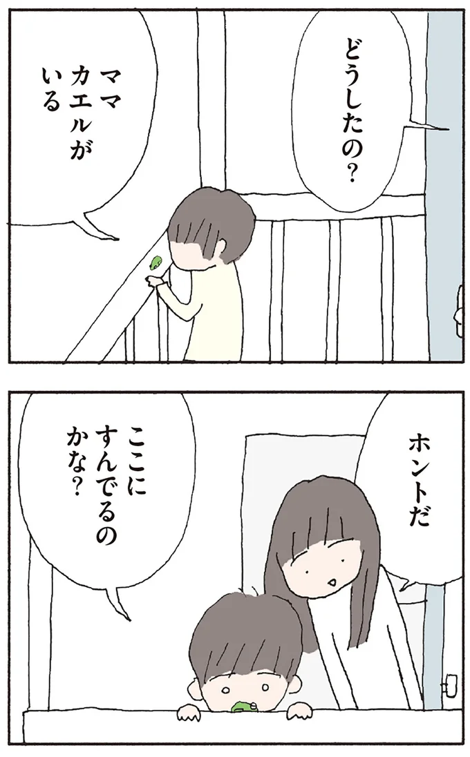 カエルがいる