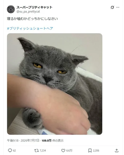 寝るか噛むかどっちかにしなさい▶甘噛みをしたと思ったら…（⇒次へ）