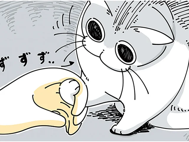 こたつで寝る飼い主の手が気になる？ うっかりネコの狩猟本能を掻き立ててしまい