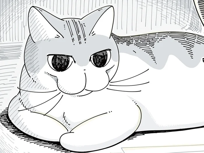「こんな貫禄あったっけ？」見るたびに顔も形も変わるネコ。表情の豊かさに感心していたら