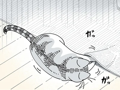 ハガキを落として