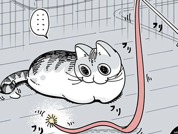 紐状のおもちゃを買ってきたら