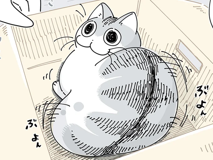 かまってほしいのかと思ったら無反応
