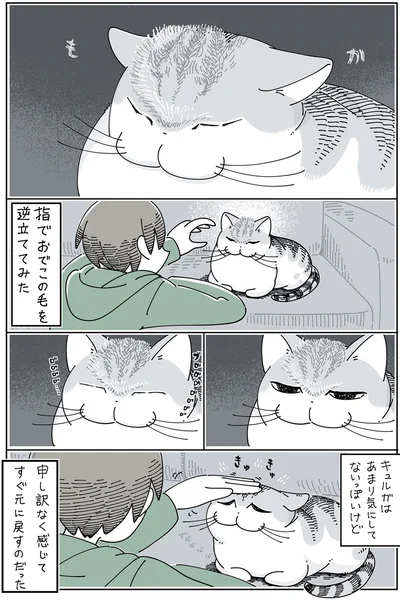 あまり気にしてないっぽいけど