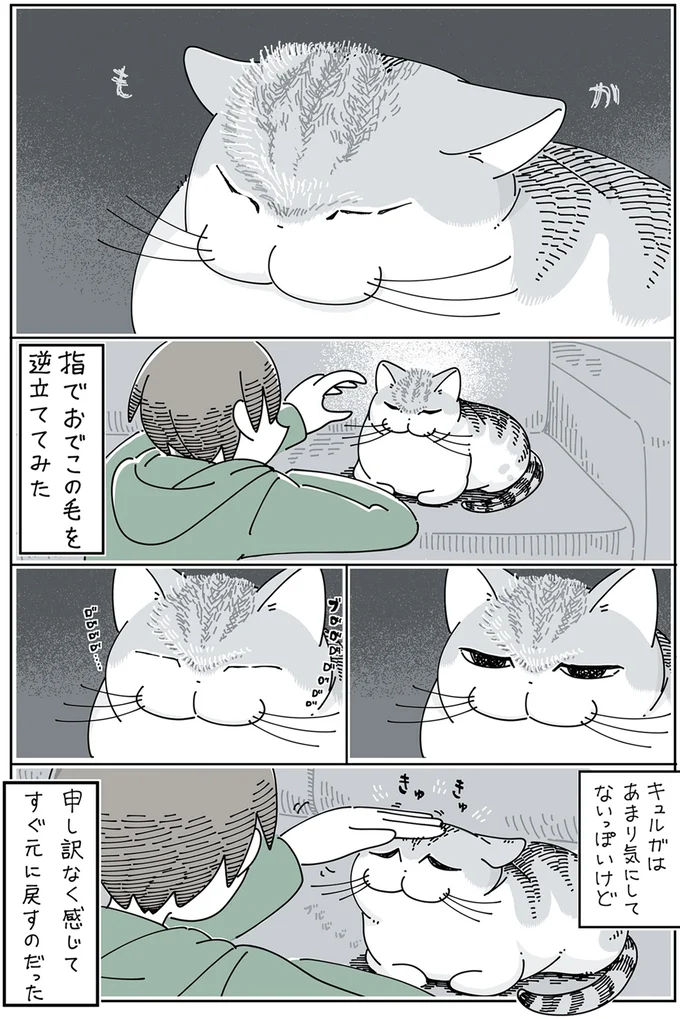 あまり気にしてないっぽいけど