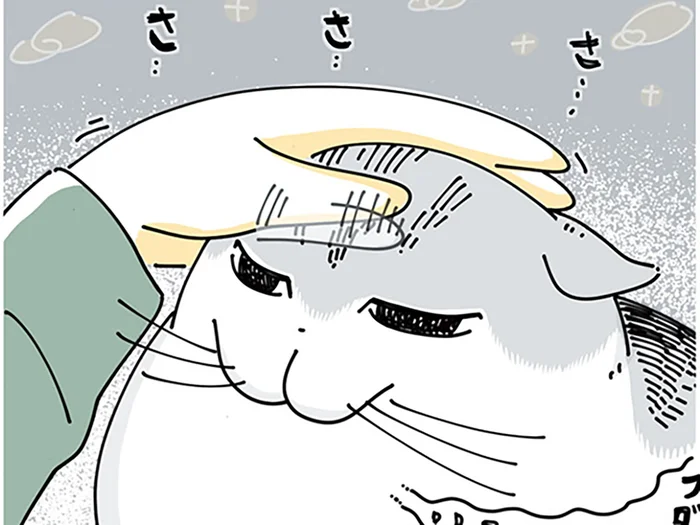 気にしていないのをいいことに、ついネコのおでこの毛で遊ぶ飼い主。ネコの本音は？
