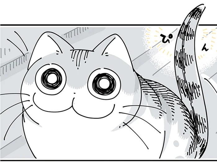近くに来てから甘えればいいのに。目が合ったその場で甘え始めちゃうネコが愛おしい