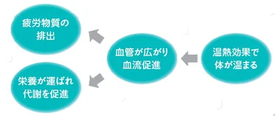 入浴で夏バテが解消される仕組み
