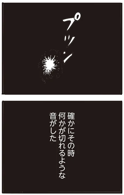 何かが切れるような音がした