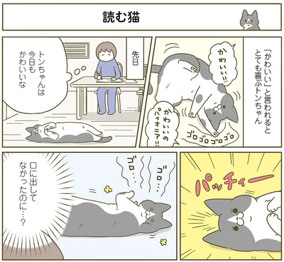 読む猫