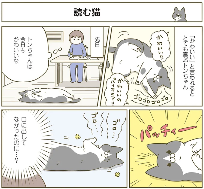 読む猫