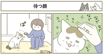 待つ猫