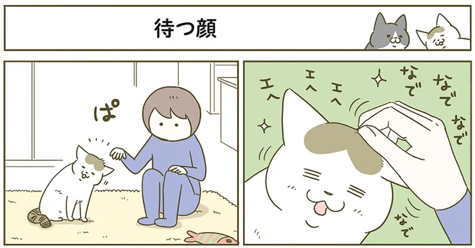 待つ猫