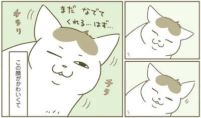 この顔がかわいくて
