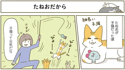たねおだから