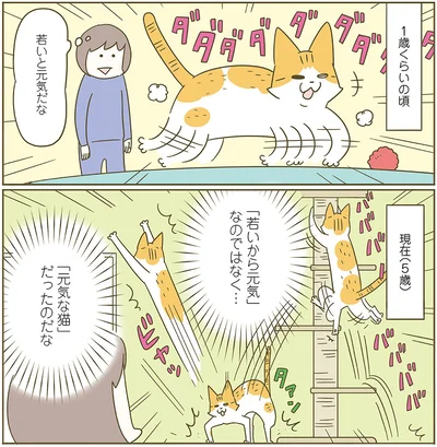 年齢は関係ない
