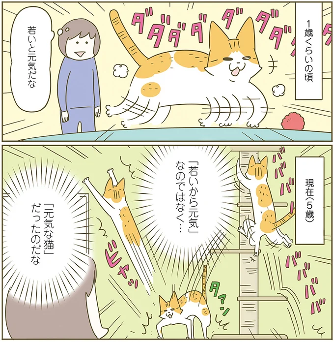 年齢は関係ない