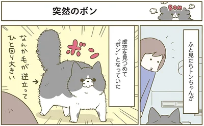 『うちの猫がまた変なことしてる。6』より