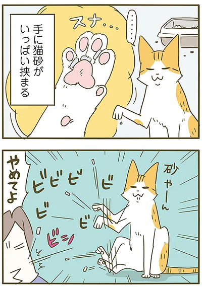 『うちの猫がまた変なことしてる。6』より