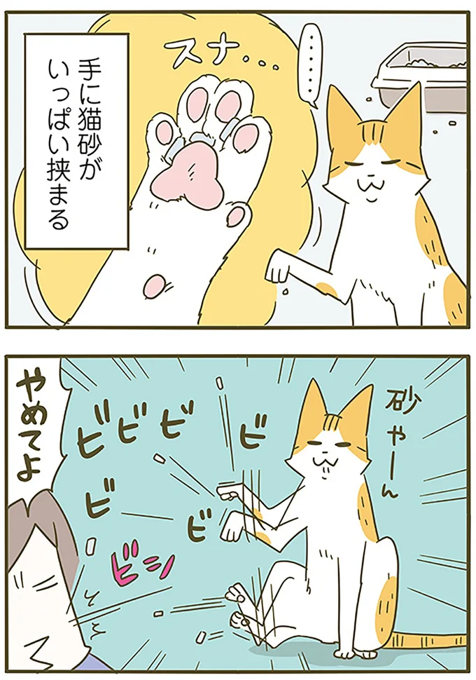 『うちの猫がまた変なことしてる。6』より