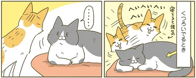 『うちの猫がまた変なことしてる。6』より