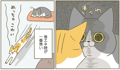 『うちの猫がまた変なことしてる。6』より